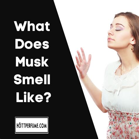 what does musk smell like.